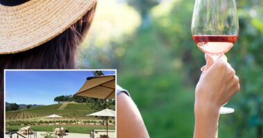 California's famous Justin Vineyards settles sexual harassment lawsuit