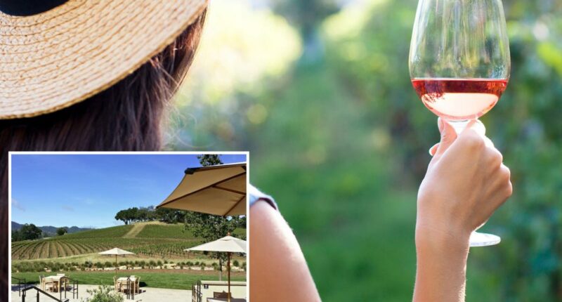 California's famous Justin Vineyards settles sexual harassment lawsuit