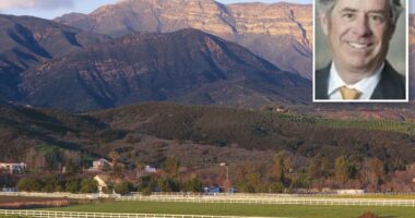 California's secret oil haven revealed