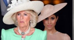 Camilla told friend that Meghan 'brainwashed' Harry, new book claims