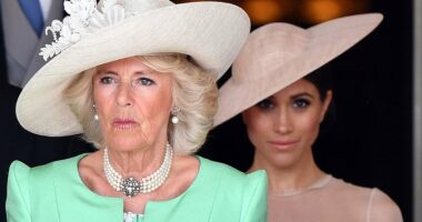 Camilla told friend that Meghan 'brainwashed' Harry, new book claims