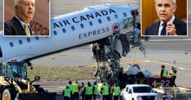 Canadian Prime Minister Mark CarneyÂ slamsÂ AirÂ CanadaÂ CEO for English-only remarks after LaGuardia crash
