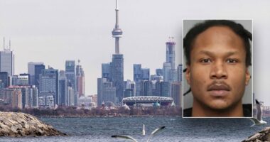 Canadian murder suspect on most-wanted list arrested in Mississippi, was in US illegally, DHS says