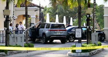 Car crash at entrance to 'billionaire bunker' where rich, famous live