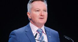 Energy Minister Chris Bowen is yet to comment on whether Australia will follow New Zealand's lead and consider imposing car-less days