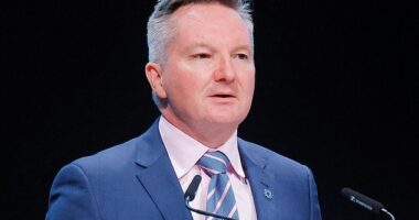 Energy Minister Chris Bowen is yet to comment on whether Australia will follow New Zealand's lead and consider imposing car-less days