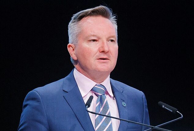 Energy Minister Chris Bowen is yet to comment on whether Australia will follow New Zealand's lead and consider imposing car-less days