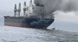Cargo ship struck by a projectile in the Strait of Hormuz: UK