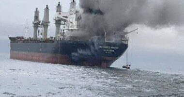 Cargo ship struck by a projectile in the Strait of Hormuz: UK