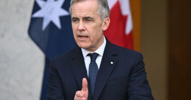 Carney pitches coalition of 'middle powers' to Albanese