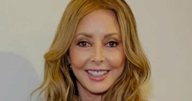 Carol Vorderman reveals she'll get a facelift 'in a couple of years'