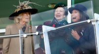 Carole Middleton's royal day out: Kate's mother was in her element hugging Princess Anne and toting a £20,000 Birkin at Cheltenham...while races regulars Beatrice and Eugenie were nowhere to be seen