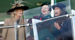 Carole Middleton's royal day out: Kate's mother was in her element hugging Princess Anne and toting a £20,000 Birkin at Cheltenham...while races regulars Beatrice and Eugenie were nowhere to be seen
