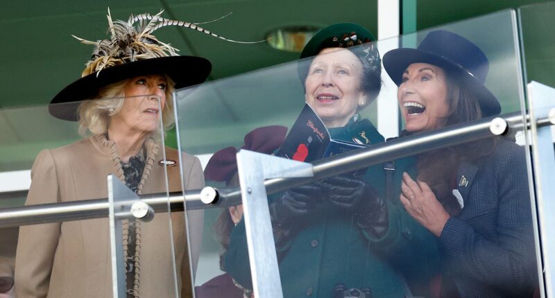 Carole's Cheltenham cheer! Kate's mother proves she's truly in the Royal inner circle as she hugs Princess Anne on Ladies Day out with Queen Camilla