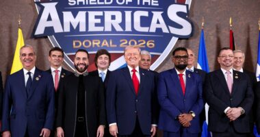 Cartels fear US retaliation as Trump-era pressure reshapes strategy: 'They fear the United States'