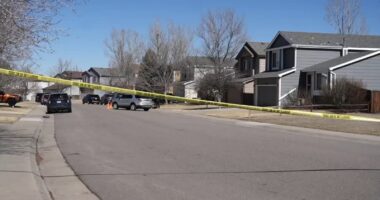 Centennial, Colorado news: 11-year-old boy facing murder charges in little brother's death, Arapahoe County Sheriff's Office says