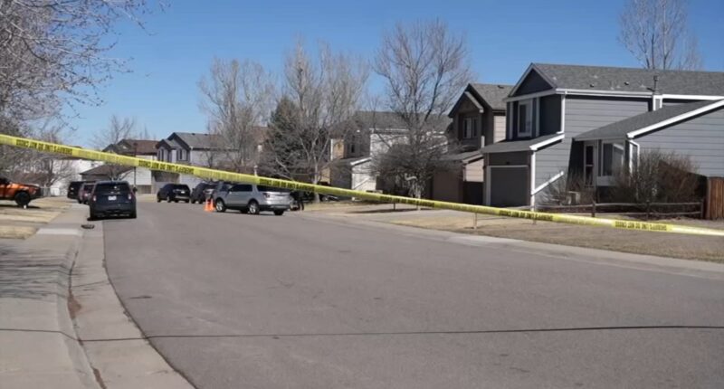 Centennial, Colorado news: 11-year-old boy facing murder charges in little brother's death, Arapahoe County Sheriff's Office says