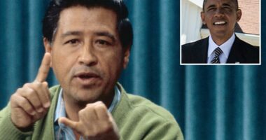 Cesar Chavez scandal is the tip of the iceberg, insider says