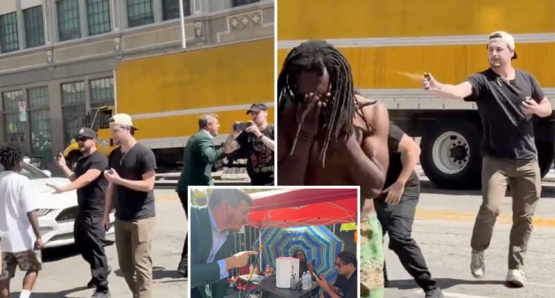 Chaos, confrontation and alleged election fraud in LA