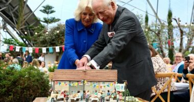 Charles and Camilla cut wonky slice of cake during Eden Project visit