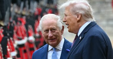 Charles and Camilla's state visit to US to go ahead in April