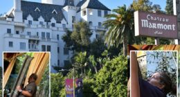 Chateau Marmont chaos as roof parts plunge towards celeb diners including Sacha Baron Cohen