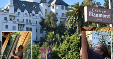 Chateau Marmont chaos as roof parts plunge towards celeb diners including Sacha Baron Cohen