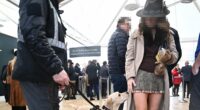 Cheltenham chaos with brawls, cocaine, and pop-up brothels