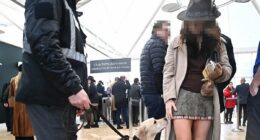 Cheltenham chaos with brawls, cocaine, and pop-up brothels