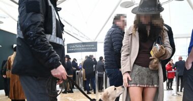 Cheltenham chaos with brawls, cocaine, and pop-up brothels