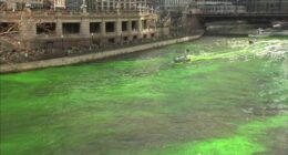 Chicago St. Patrick's Day 2026: Pope Leo-inspired parade route, green river dyeing, where to watch Saturday, March 14