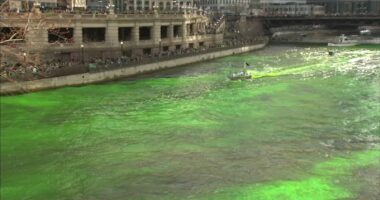 Chicago St. Patrick's Day 2026: Pope Leo-inspired parade route, green river dyeing, where to watch Saturday, March 14