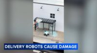 Chicago leaders speak out after food delivery robots with Serve Robotics, Coco Robotics cause damage at CTA bus shelters