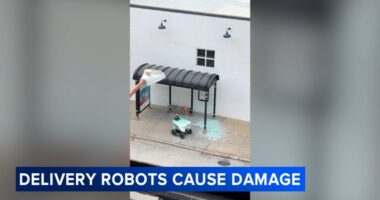 Chicago leaders speak out after food delivery robots with Serve Robotics, Coco Robotics cause damage at CTA bus shelters