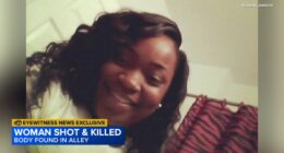 Chicago shooting: Family seeks justice after Brandy Fleming found shot, killed in alley behind her home in West Garfield Park