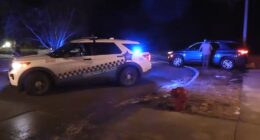 Chicago shooting: Loyola student killed in Rogers Park shooting near beach, police say