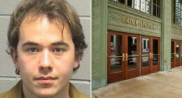 Chicago train stabber Zakir Ibrahim arrested for attempted murder claimed he was CIA agent