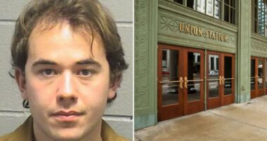 Chicago train stabber Zakir Ibrahim arrested for attempted murder claimed he was CIA agent