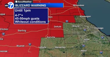 Chicago weather forecast: Blizzard warning in effect for parts of area for snow, strong winds, impacting travel | Live Radar