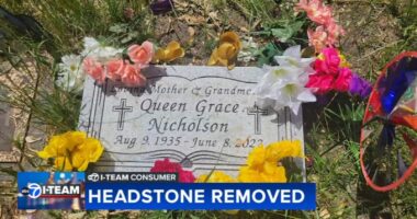 Chicago woman devastated after Oakridge-Glen Oaks Cemetery in Hillside removed mother's headstone