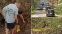 Children find human skull while playing near South Carolina creek, authorities unearth 50 more bones