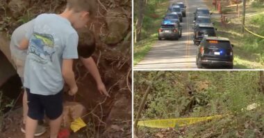 Children find human skull while playing near South Carolina creek, authorities unearth 50 more bones