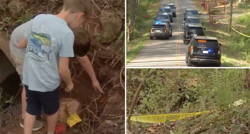 Children find human skull while playing near South Carolina creek, authorities unearth 50 more bones