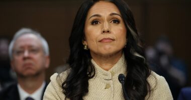 Chilling unclassified threat report reveals the 'most likely' terror attack scenario on US soil