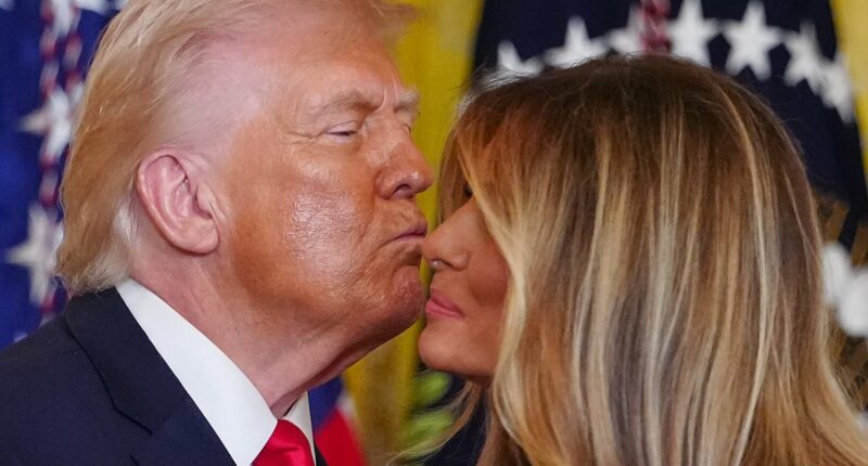 Chivalrous Trump crowns Melania a movie star 'too big for the White House'