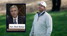 'Choosing to be a bully': Judge upbraids DeSantis for 'terrorist organization' executive 'decree' that 'bears all the hallmarks of unconstitutional coercion'