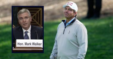 'Choosing to be a bully': Judge upbraids DeSantis for 'terrorist organization' executive 'decree' that 'bears all the hallmarks of unconstitutional coercion'