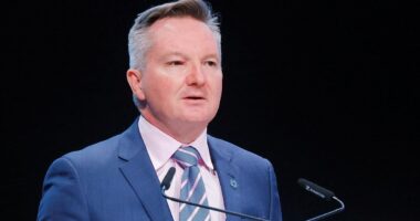 Chris Bowen announces new measures to address fuel supply