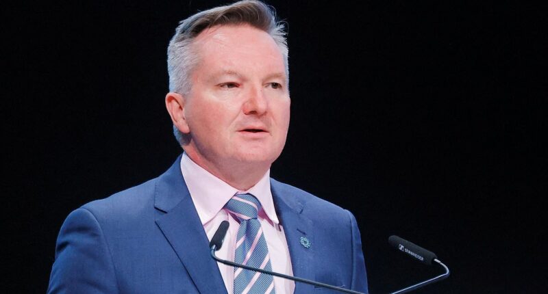 Chris Bowen announces new measures to address fuel supply
