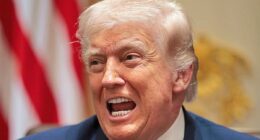 'Churchill would have sacked them': Trump's says of British government